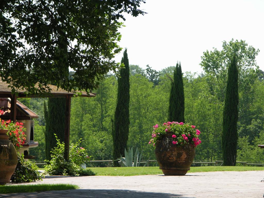 Podere Il Giurato Fauglia Exterior photo